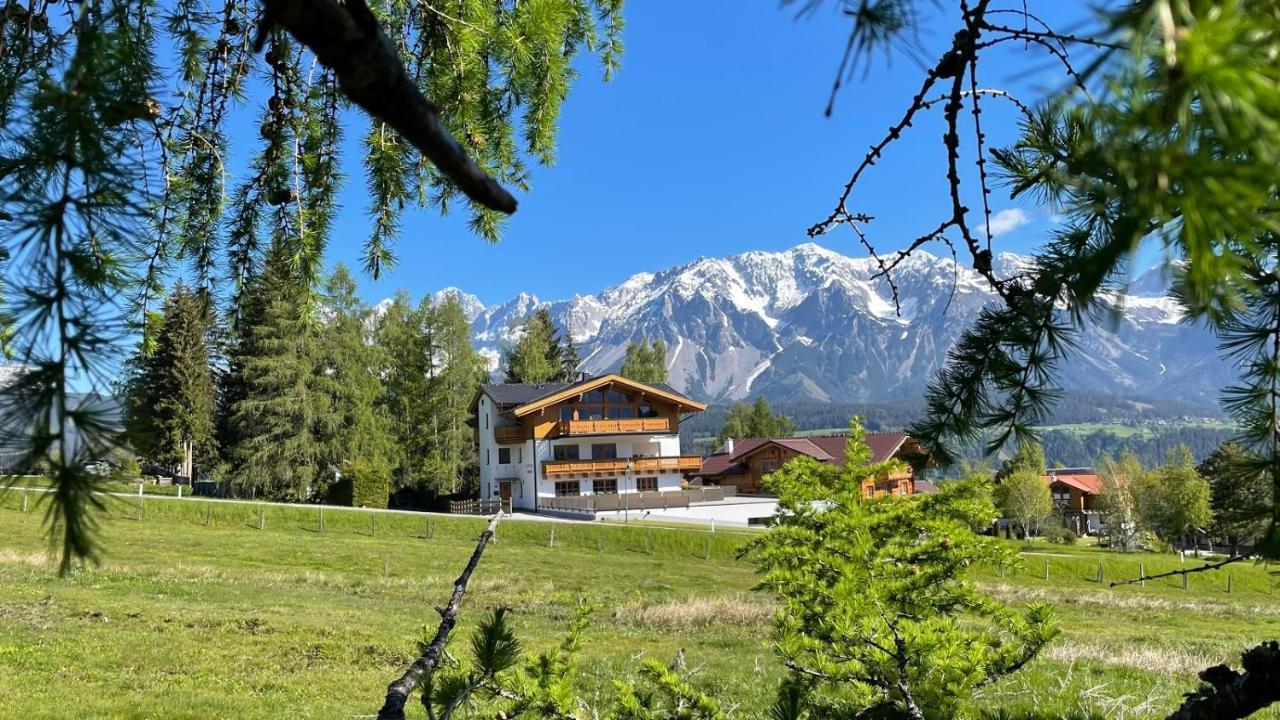 Schwab In & Out Apartment Schladming